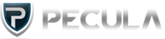 Pecula Solutions Logo